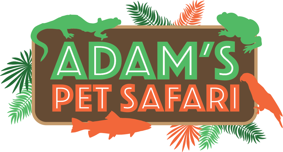 Adam's Pet Safari